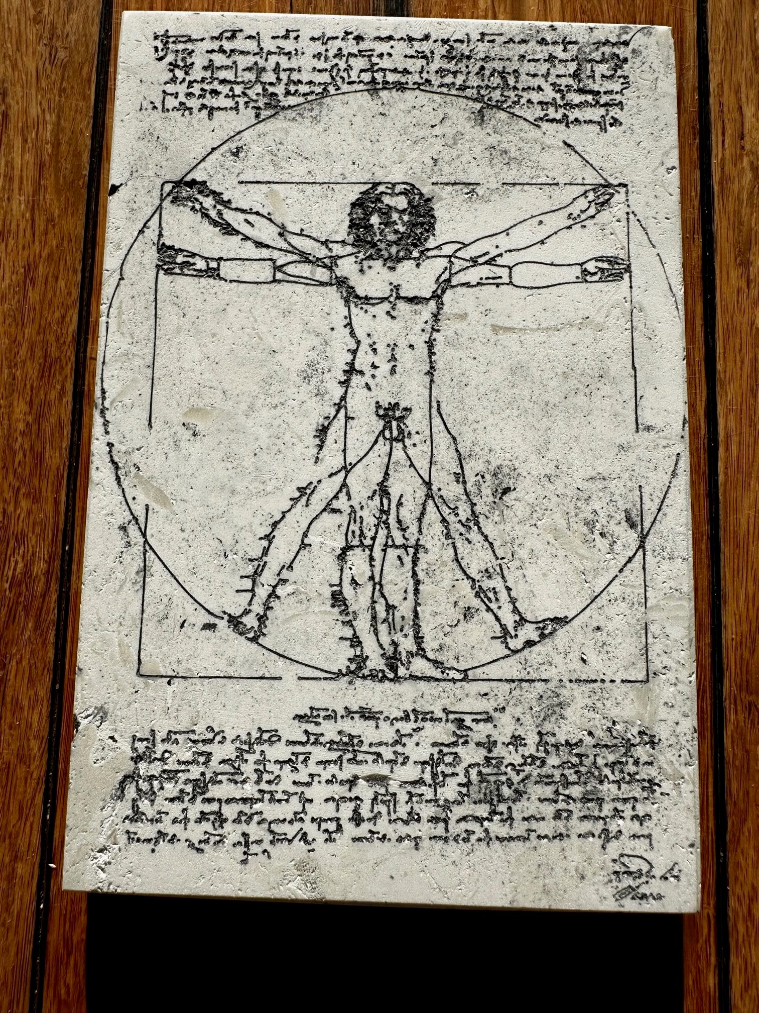 La Scapigliata in umber, large 30x20x1.2 cm, box mount 37x29x3.5 cm - Image 3