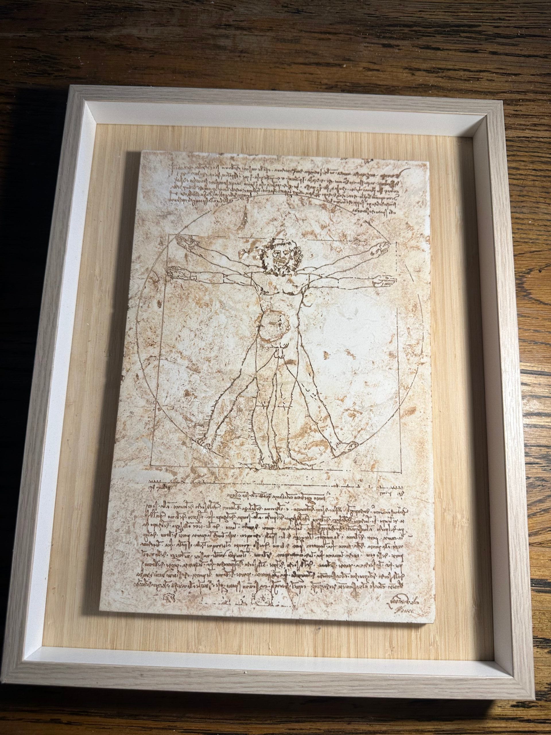 Vitruvian man in umber  large 30x20x12cm in box mount 37x29 3.5cm